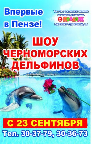 Шоу черноморских дельфинов Шоу черноморских дельфинов