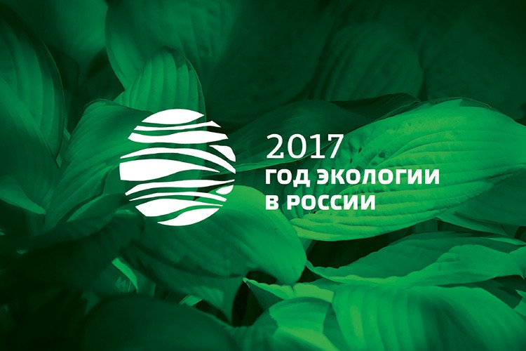 Выставка, посвящённая Году экологии Выставка, посвящённая Году экологии
