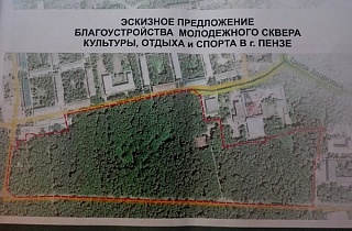 Как и кто решает судьбу леса в Пензе Как и кто решает судьбу леса в Пензе
