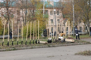 Благоустройство города Пензы: практические вопросы озеленения Благоустройство города Пензы: практические вопросы озеленения