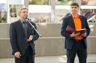 Где может быть востребован Александр Елатонцев Где может быть востребован Александр Елатонцев
