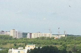 Пензу накрывает волна банкротств теплоснабженцев Пензу накрывает волна банкротств теплоснабженцев