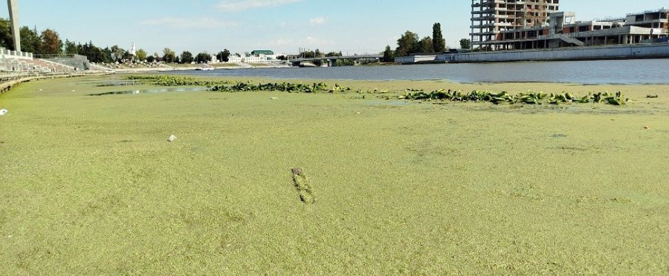 Пензенцы жалуются на состояние главной городской набережной