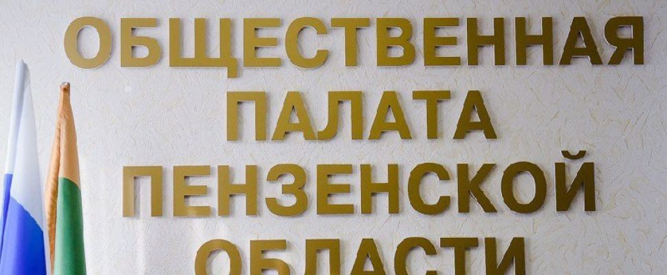 Кандидатуру Анны Рудаковой согласовали на должность руководителя аппарата Общественной палаты региона