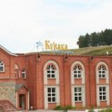 Каменский район