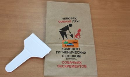 Абсолютное большинство пензенцев против штрафов за неправильный выгул животных — итоги опроса
