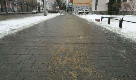 Читатели пишут. Чем посыпают наши улицы?