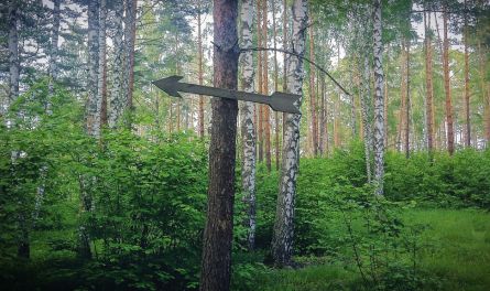 Что мы знаем о Золотарёвском городище?