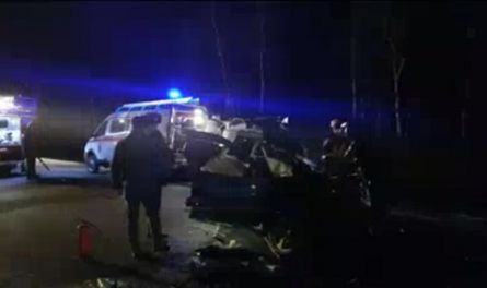 ДТП в Мокшанском районе: выезд на «встречку» и пятеро погибших
