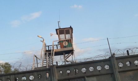 Медвежья услуга