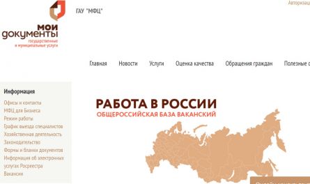 МФЦ Пензенской области. Упали, но еще можем