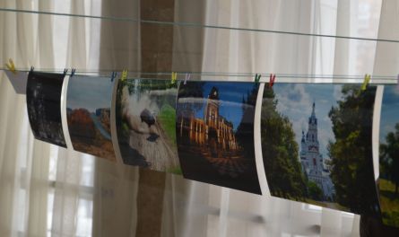 На «Сурской Сушке» пензенцы смогли обменяться фотографиями
