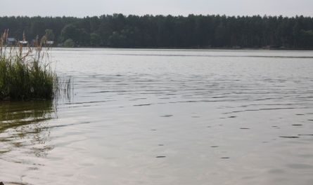 Развивается ли экотуризм в Пензенской области?