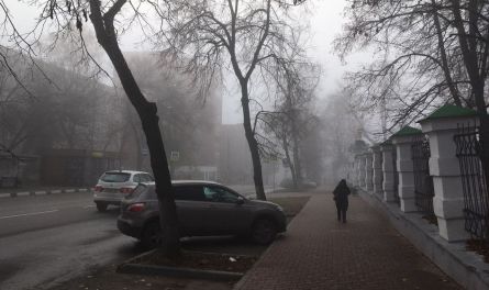 Ситуация с ковидом под контролем в Пензенском регионе, но в Роспотребнадзоре РФ так не считают