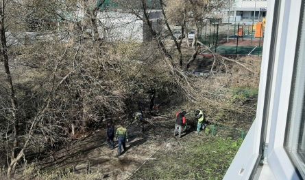 Сквер на ул. Глазунова привели в порядок — благодарность от жителей
