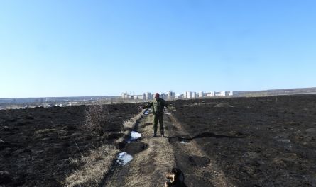 «В Заре сгорели 50 кедров, ёлки, берёзы — от них остались одни колышки…»