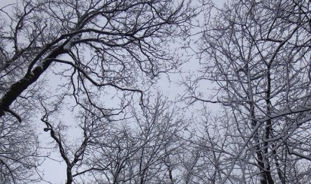 В Пензу внезапно вернулась зима: фото читателей