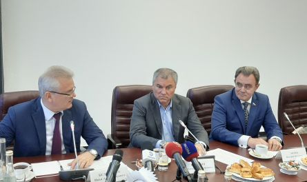 Вячеслав Володин: «Дети должны иметь возможность ходить в детсад, школу вместе с братьями и сёстрами»