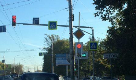 «Зеленая» волна в Пензе: миф или реальность