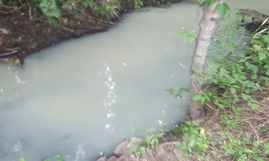 Экологическая катастрофа в Чемодановке? Вода в реке Инра приобрела белый цвет