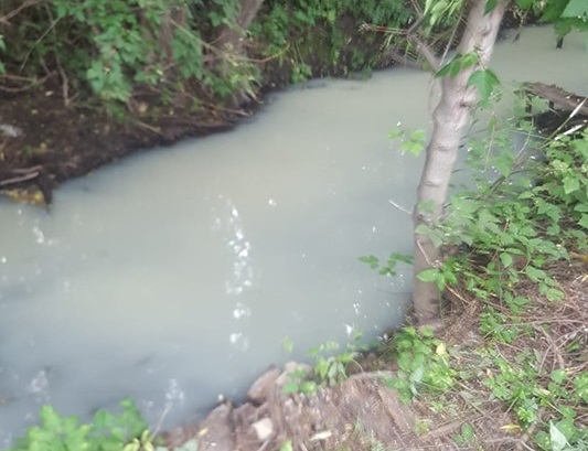 Источник воздействия на водоем в Чемодановке установить пока не удалось — Минлесхоз