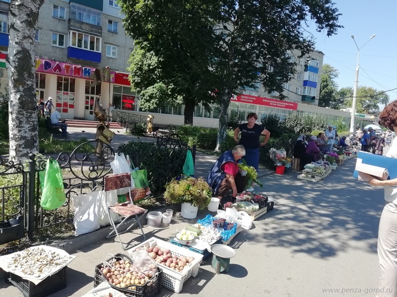 В Пензе дачникам предоставили бесплатные торговые места