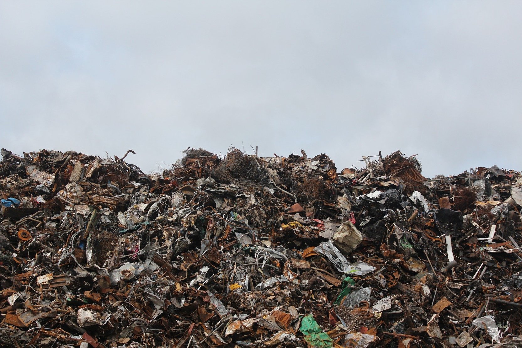 Чемодановский мусор переработан. Пензенские инноваторы разместили его в организмах горожан