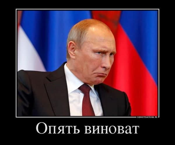 Причем здесь мэр — это Путин во всем виноват!