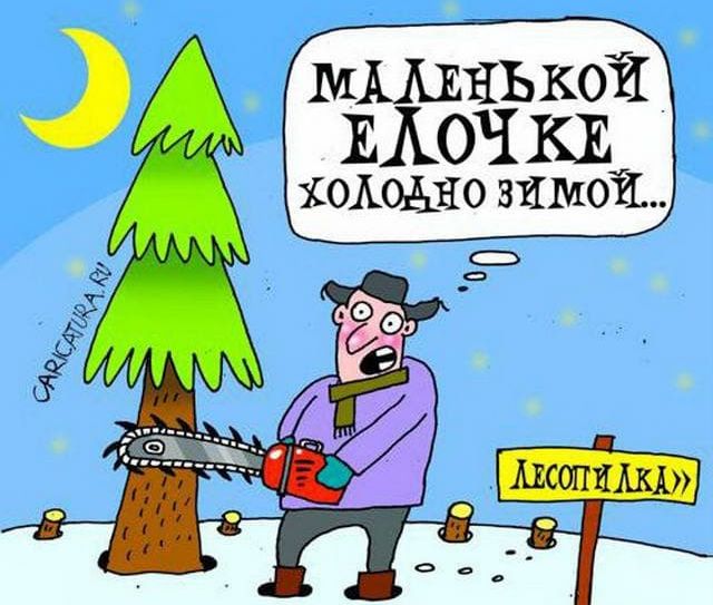 Новогодний винегрет