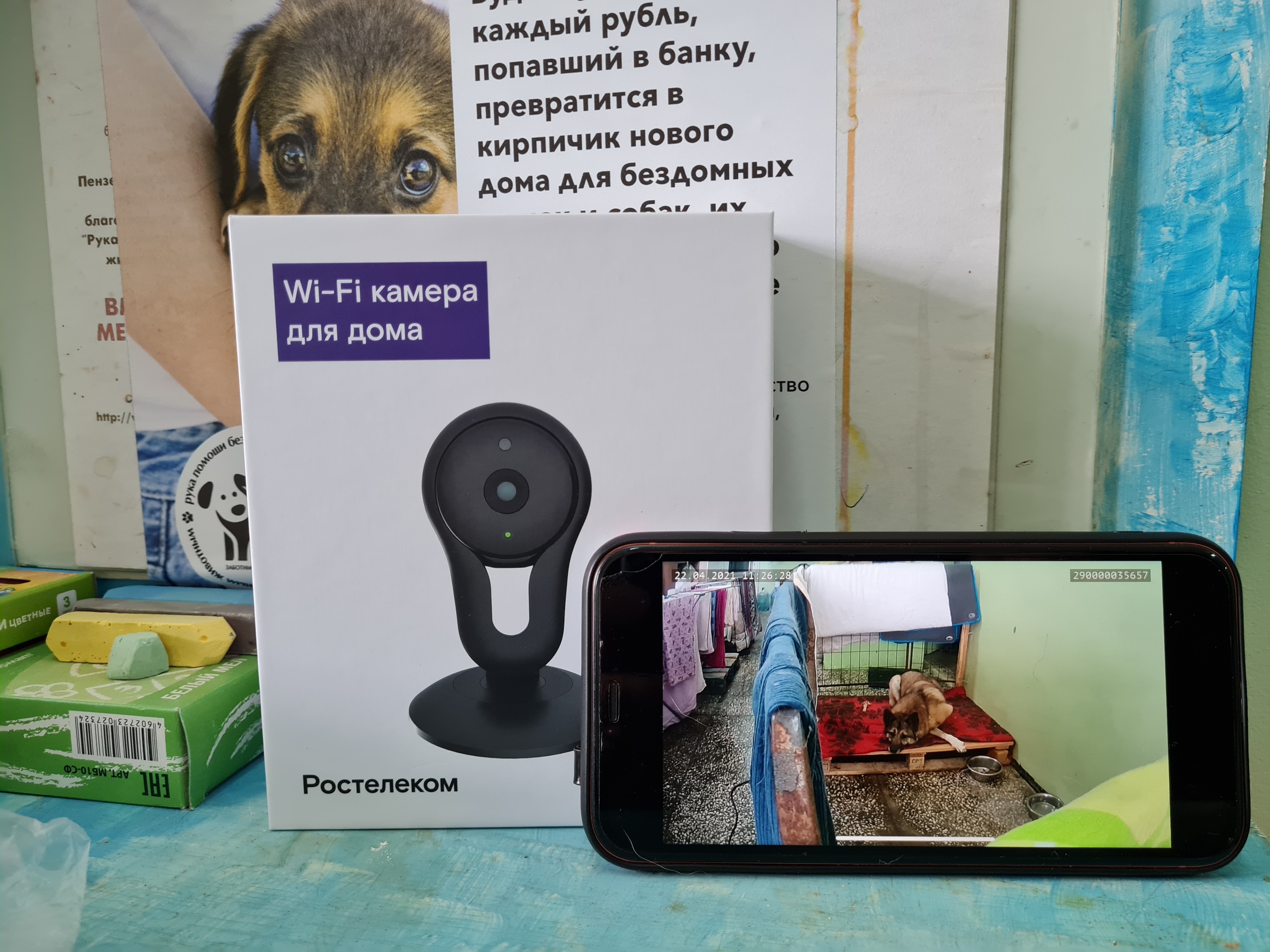 Видеонаблюдение от «Ростелекома» поможет пензенскому приюту для животных присматривать за питомцами
