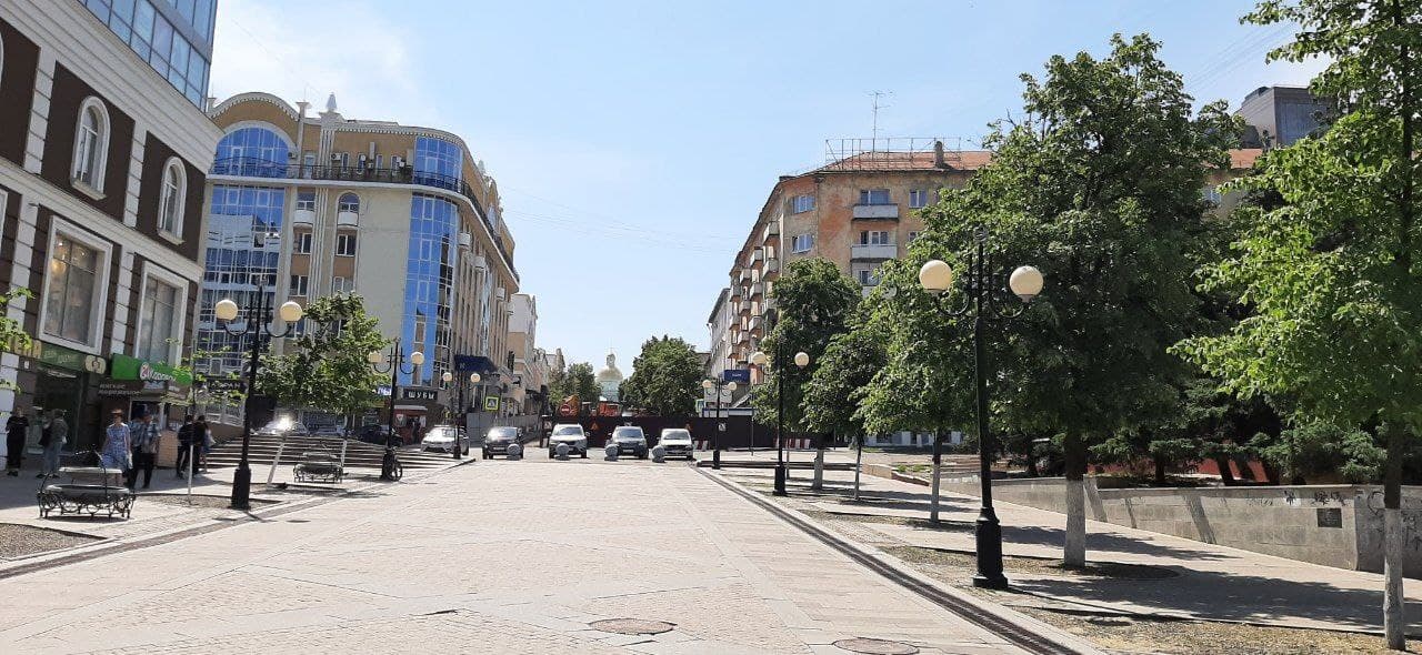 Семь лип в центре не пережили реконструкцию улицы Московской