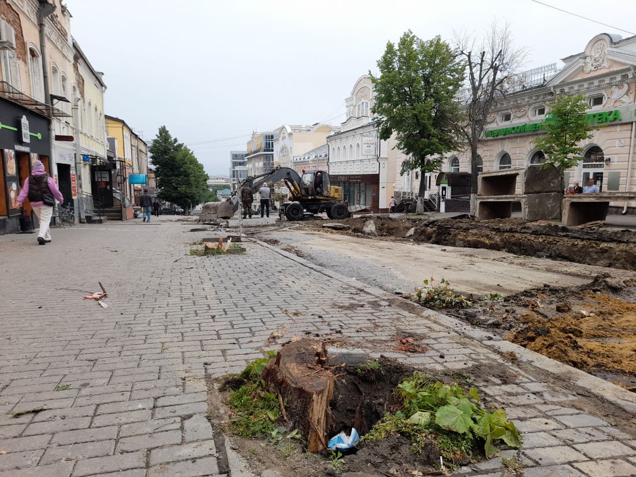 Липовая история или когда уже власть научится советоваться