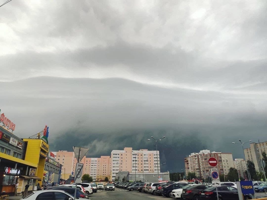 Дети шашлычника
