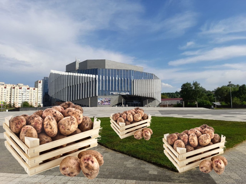 Филармошка