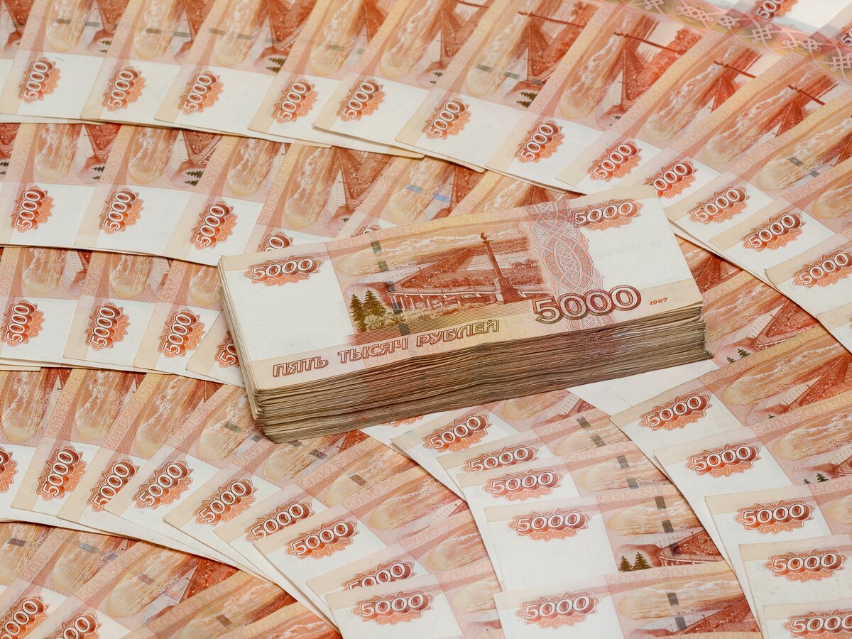 До 1 трлн рублей из ФНБ потратит Россия в 2022 году на покупку акций российских компаний