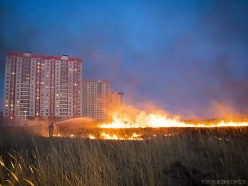 В Пензе запрещено несанкционированное сжигание сухой травы и мусора