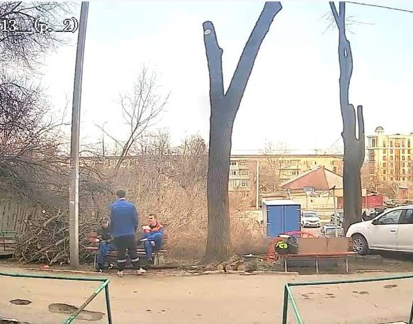 Жители Пензы бьют тревогу. На Чкалова массово вырубают деревья под парковку