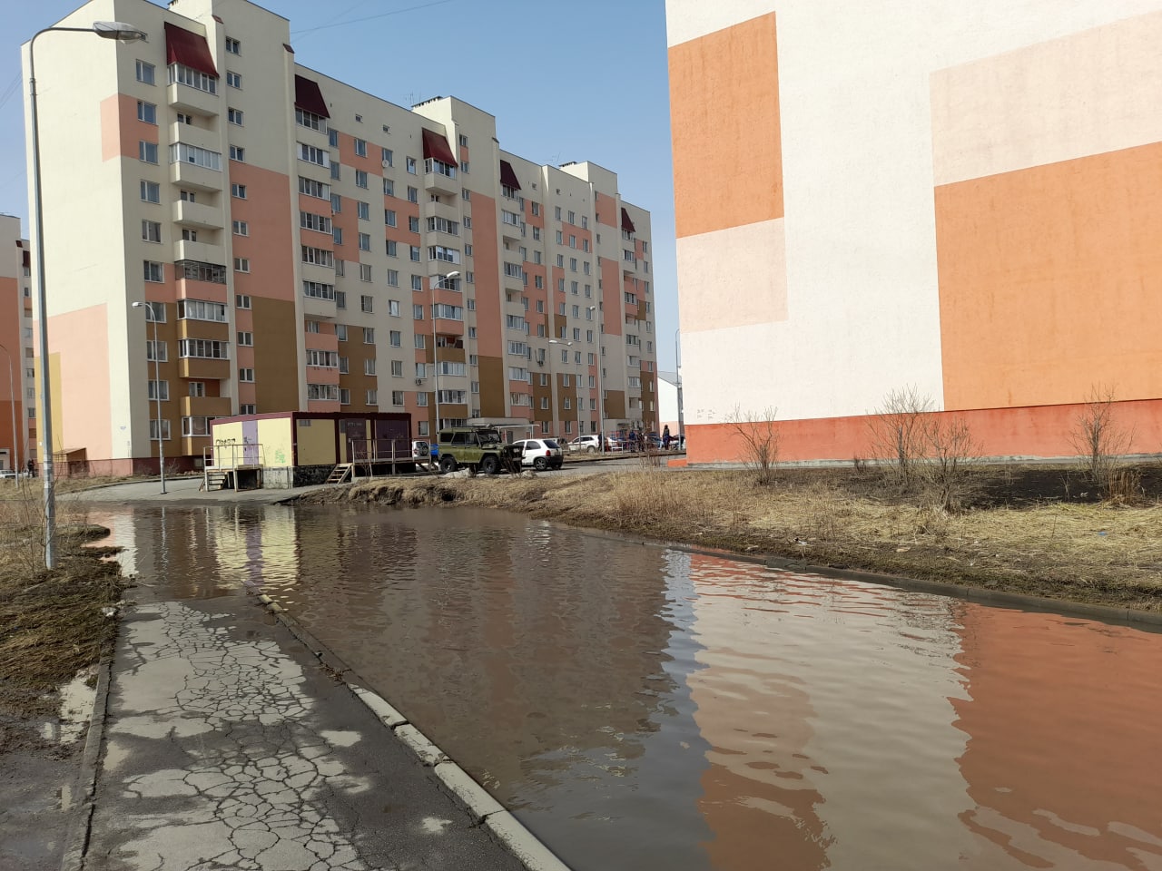 Жители ул. Чапаева в Пензе должны сами латать дыры на проезжей части