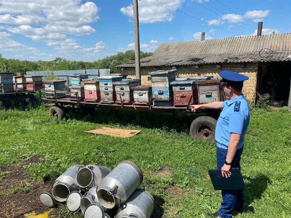 В массовой гибели пчел в Малосердобинском районе разберется прокуратура