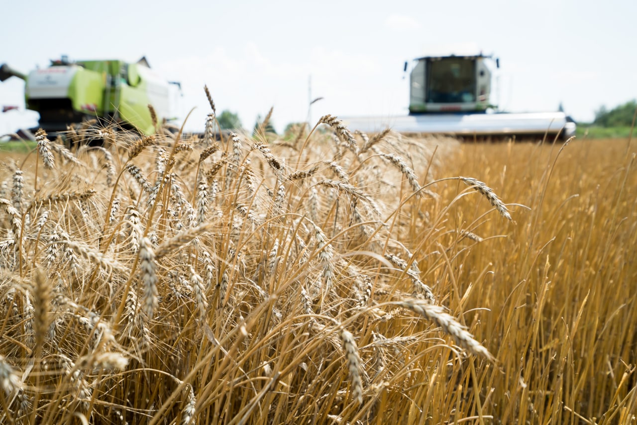 В Пензенском регионе собрали свыше 1 млн тонн зерна