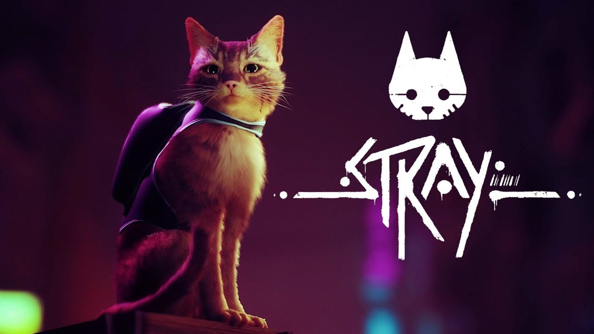 «Stray» — история о том, как кот спасает страдающих роботов от заточения в постапокалиптическом бункере