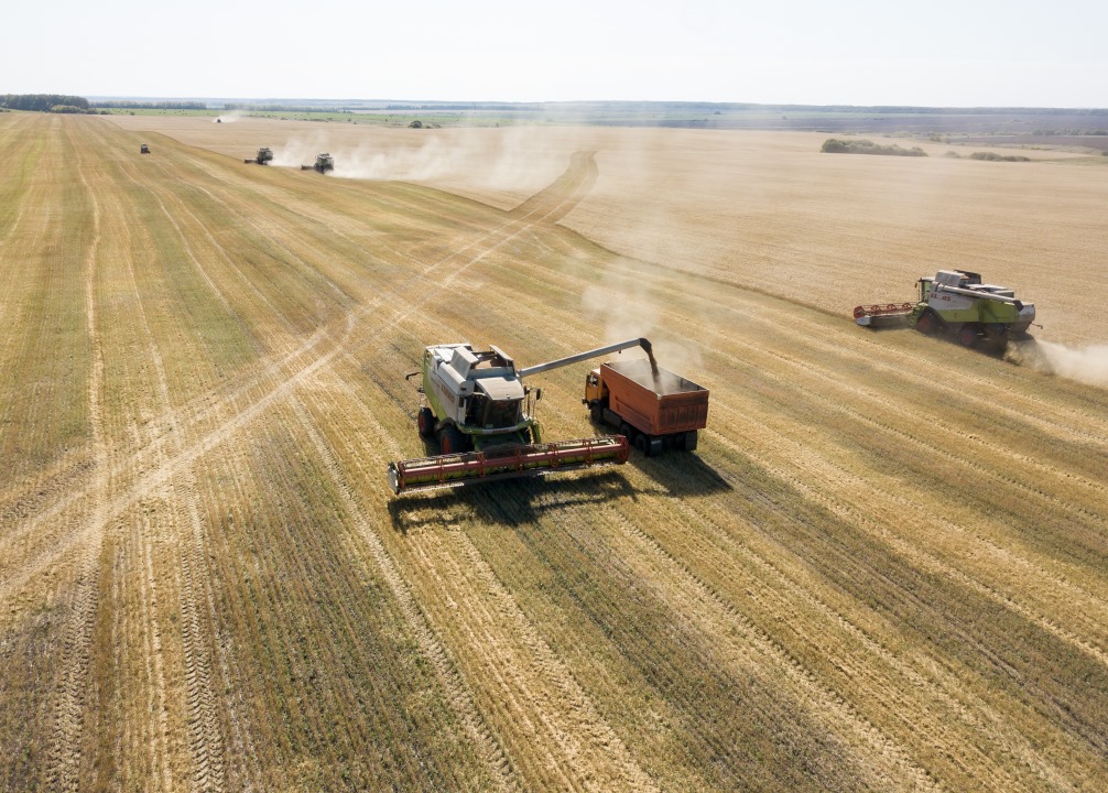 В Пензенской области собрали 3,1 млн тонн зерна
