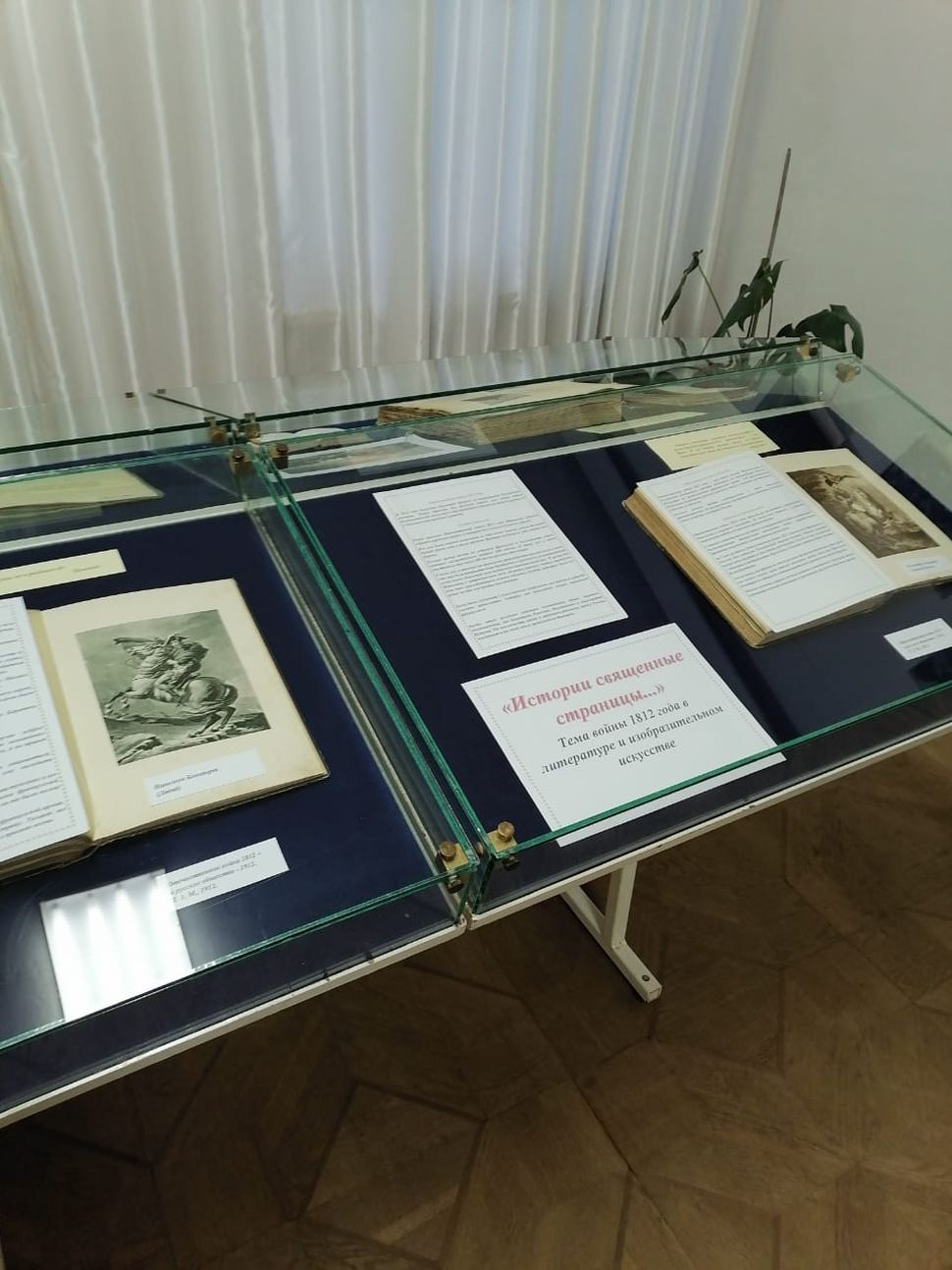 В Музее В.Г. Белинского подготовлена выставка к годовщине Бородинской битвы