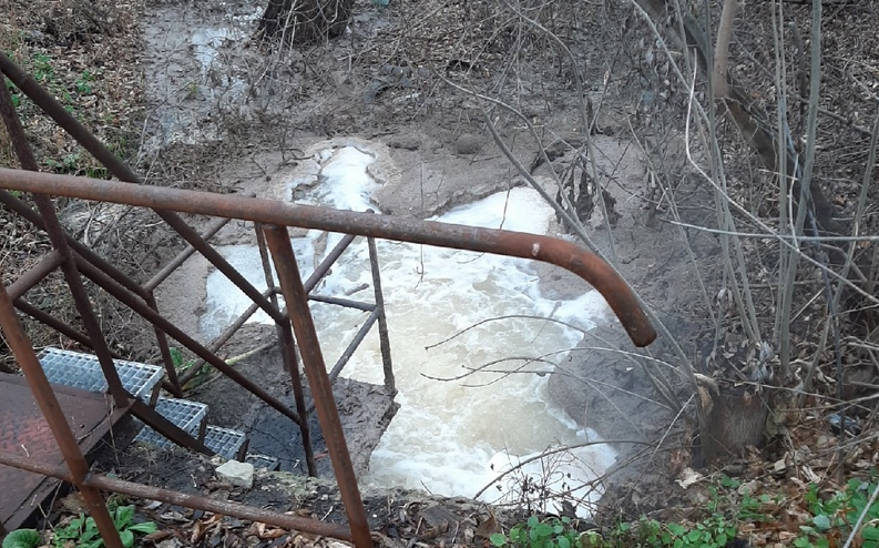 Загрязнение вод старицы реки Суры оценили в более чем 460 тысяч рублей