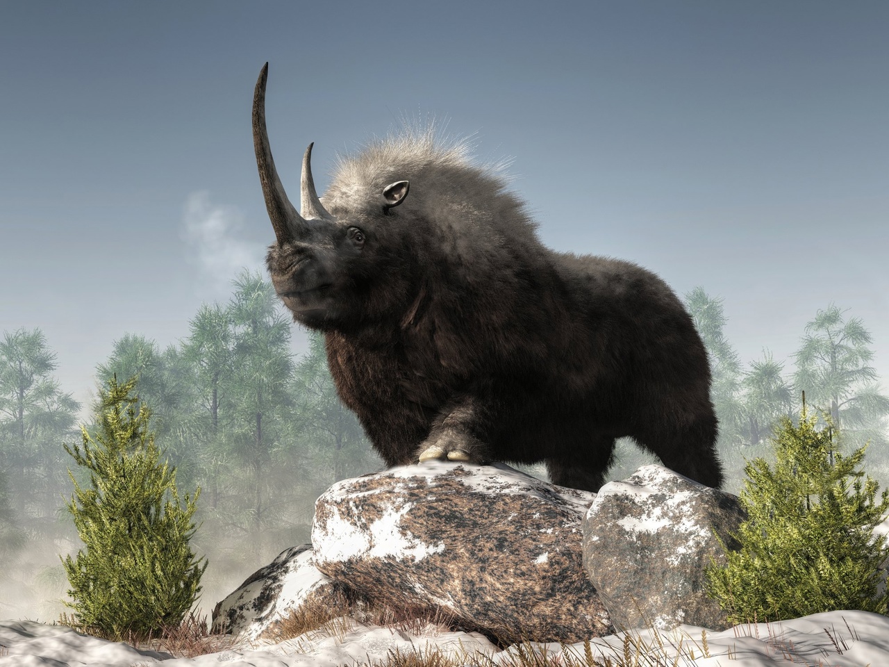Шерстистый носорог Лукерья может стать символом Пензы — мнение