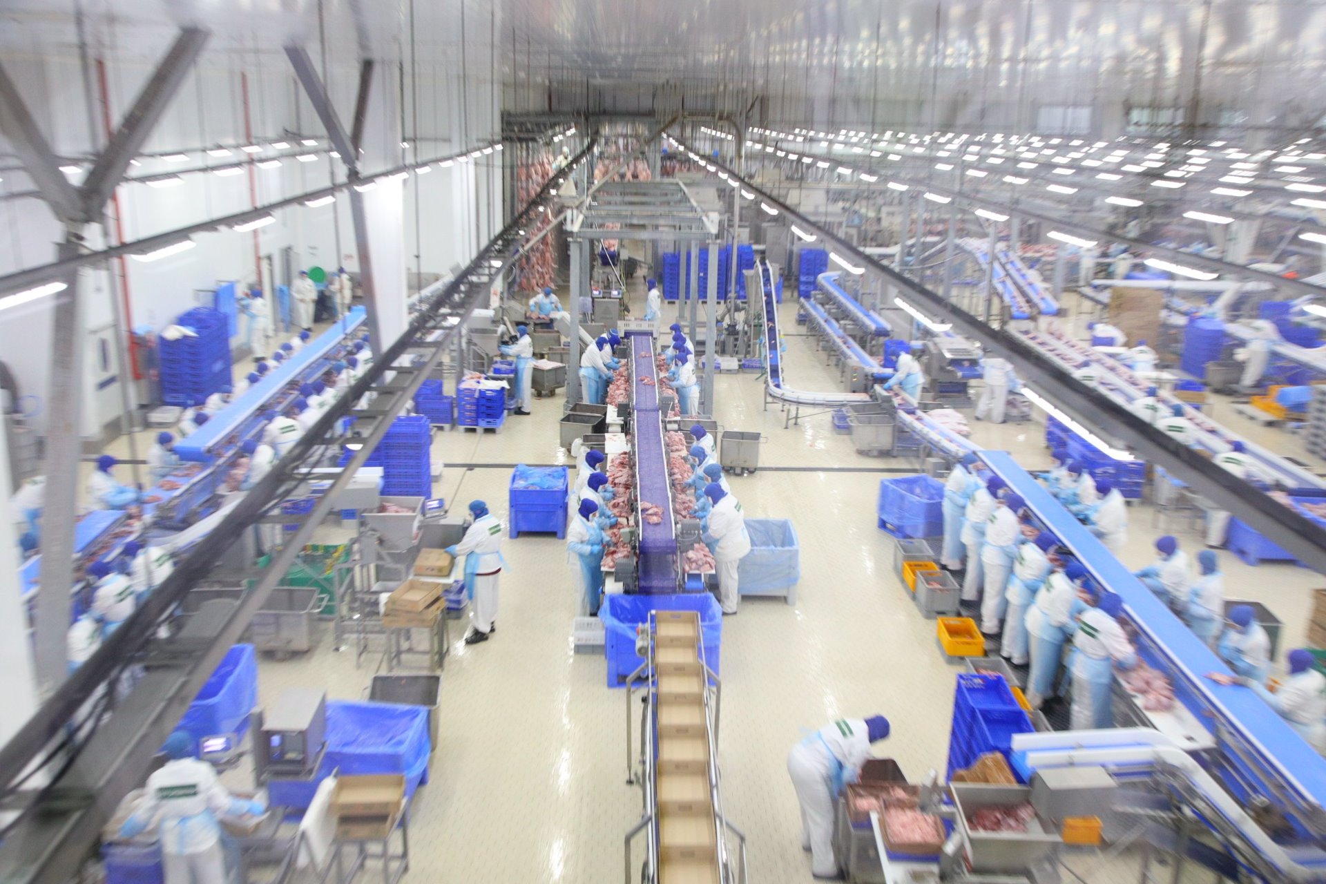 Рейтинг крупнейших производителей индейки в пятый раз возглавила компания из в Пензенской области
