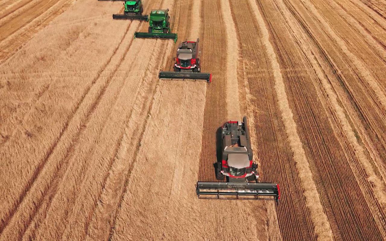 Пензенская область планирует произвести не менее 2,8 млн. тонн зерна