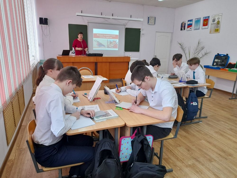 Паводок в Пензенской области не повлиял на учебный процесс