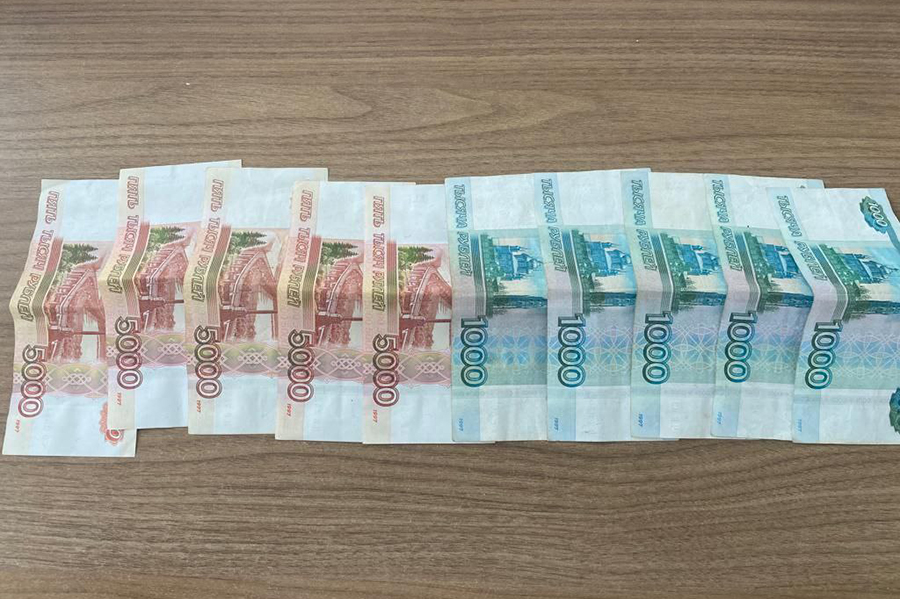 В Пензенской области руководителя санатория поймали на растрате 1,5 млн рублей