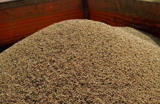 В хозяйствах Пензенской области намолочены первые 150 тысяч тонн зерна